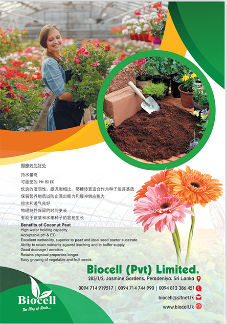 coco peat 3.png