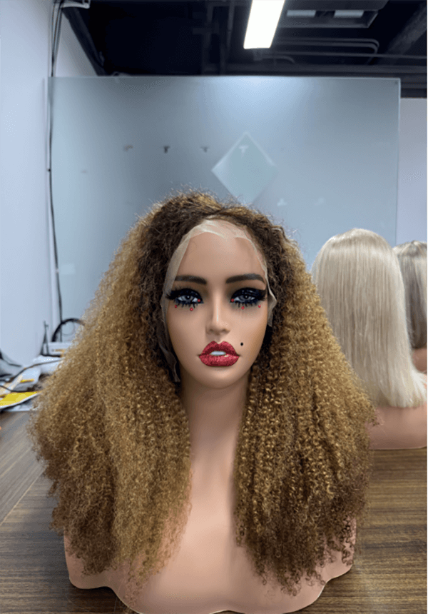 abiztime human hair wigs