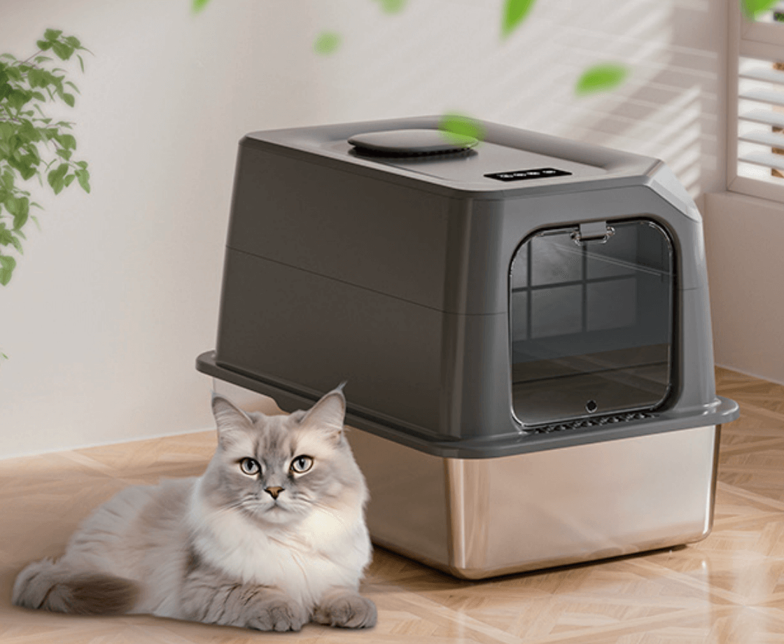 cat litter box