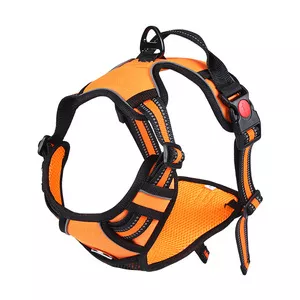 dog harness